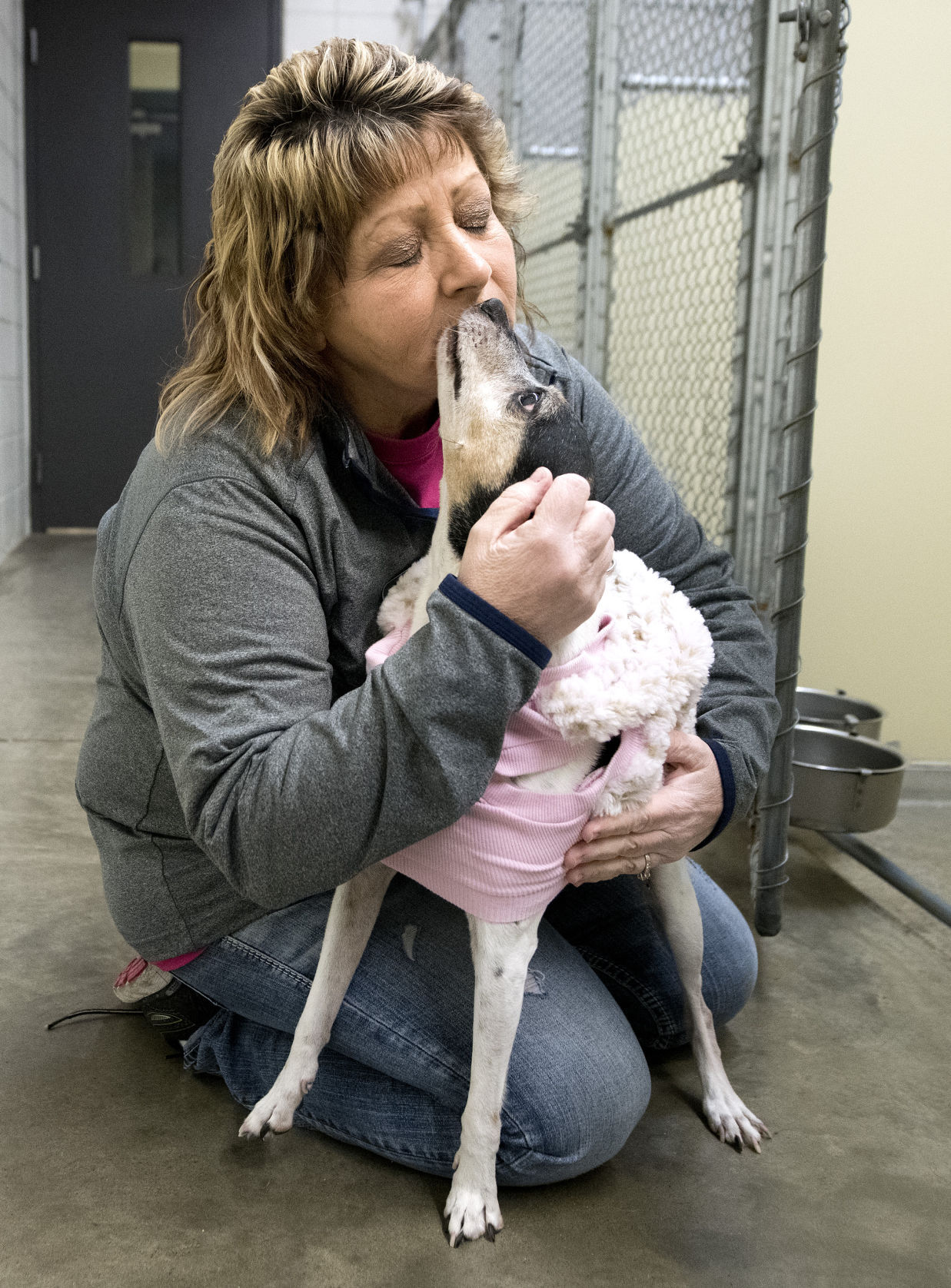 Winter weather and pets